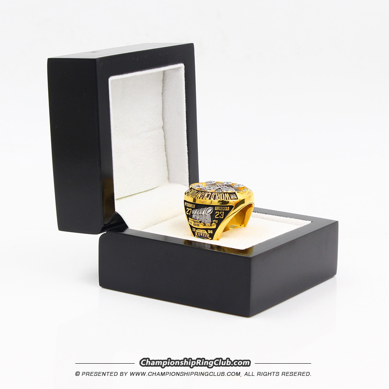 Pittsburgh Steelers 2008 NFL Super Bowl Championship Ring