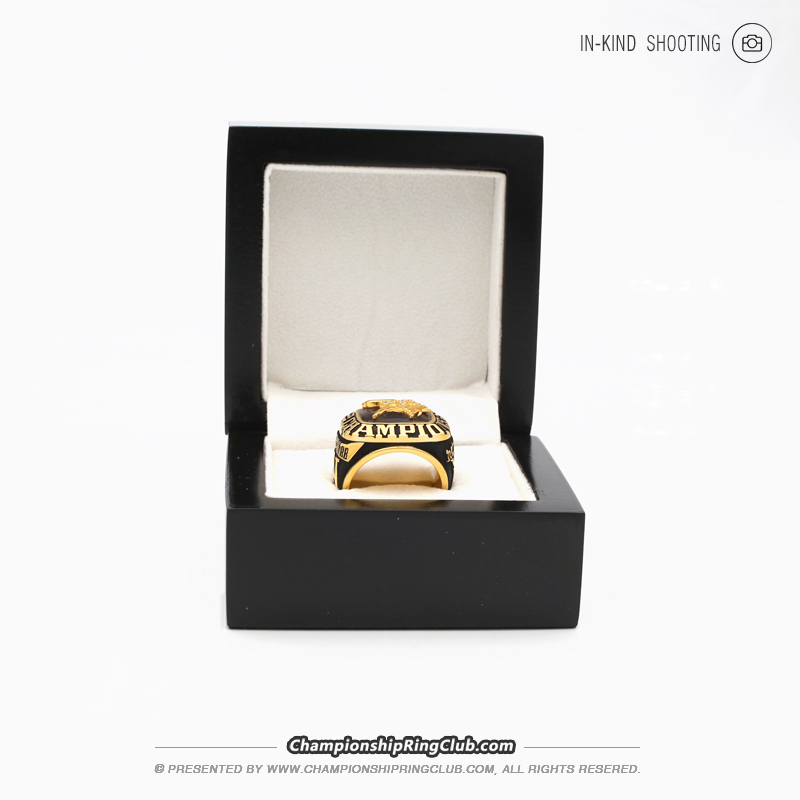 1973 Minnesota Vikings NFC Championship Ring - www.championshipringclub.com