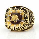 1973 Minnesota Vikings NFC Championship Ring - www.championshipringclub.com